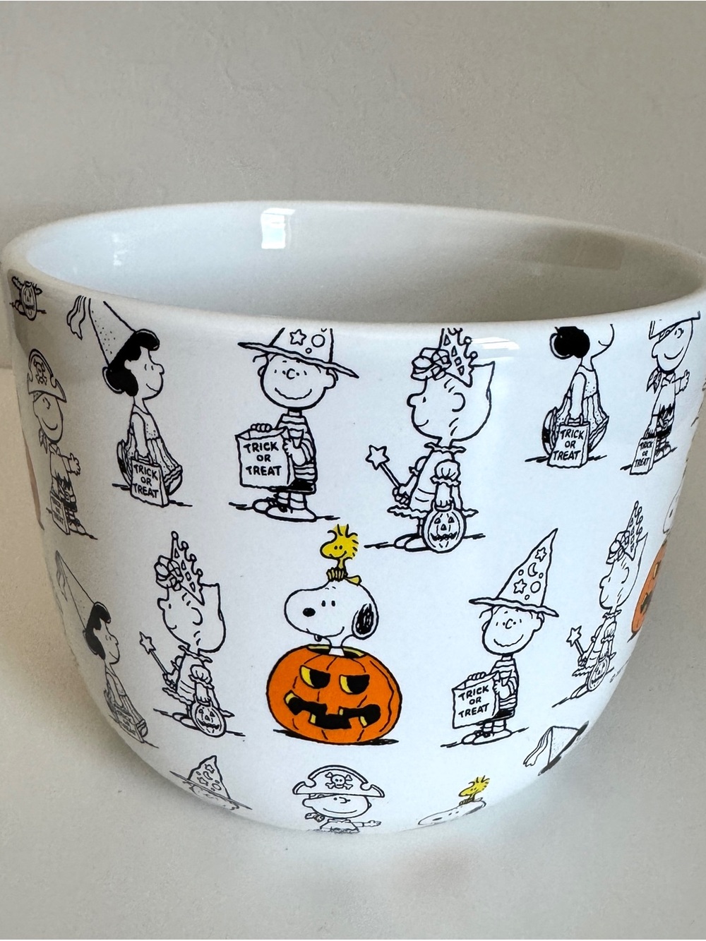 Peanuts HALLOWEEN Fall Snoopy Charlie Brown & the Gang Ceramic Pot Planter white